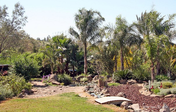 אירוח בשן בגולן - צימרים בגולן - ������ �מעלה גמלא - ������ ����